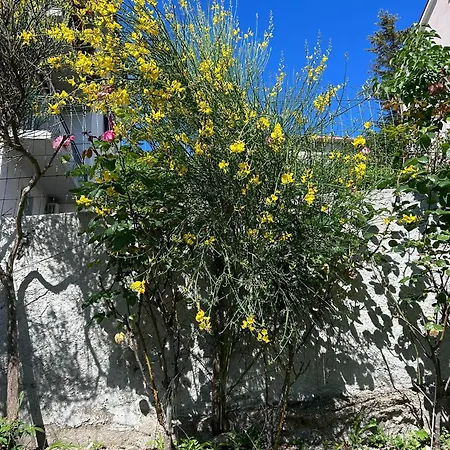 La Fonte